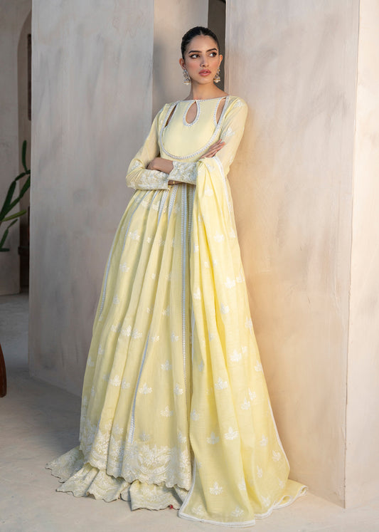 Sunlit Grace