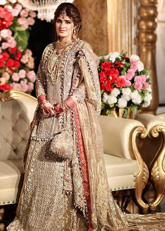 Formal Client-41