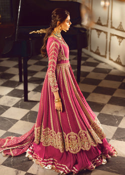Pari Banu